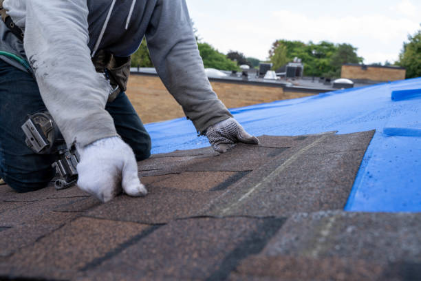 Quick and Trustworthy Emergency Roof Repair Services in Bradford Woods, PA